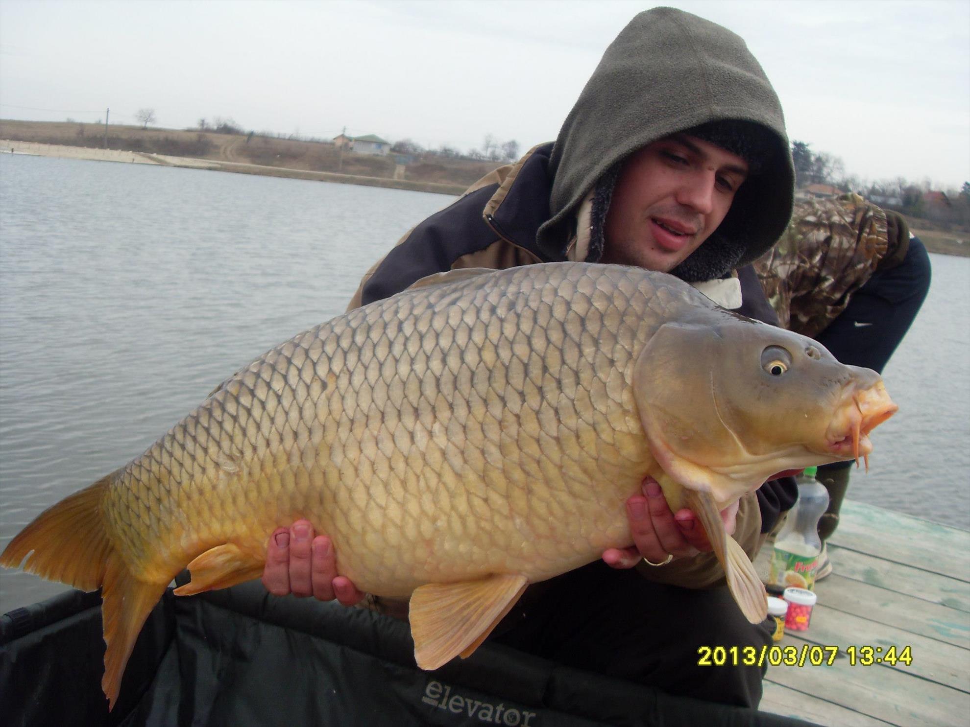 Crapturi - 8861073517948516025721387006109o.jpg